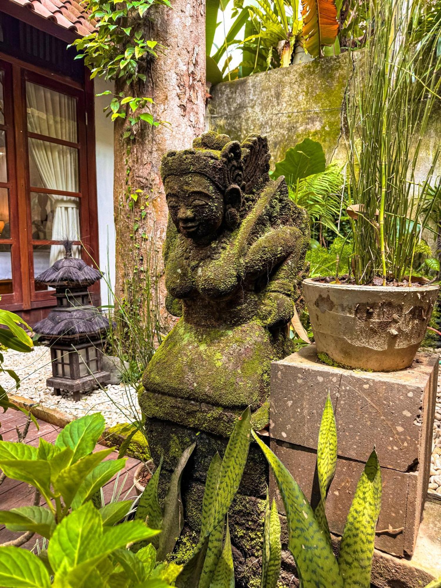 אובוד Bali Maison מראה חיצוני תמונה